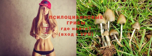 скорость Аркадак
