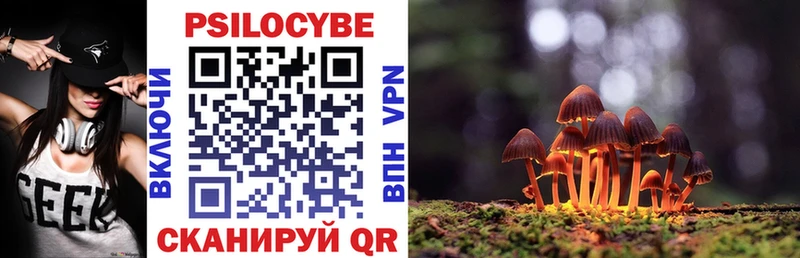 Купить закладки  Славгород  Галлюциногенные грибы MAGIC MUSHROOMS 