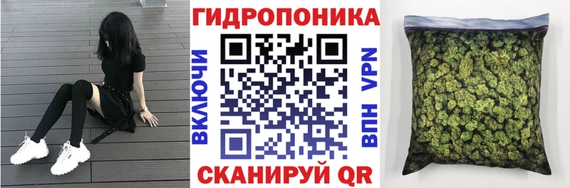 Бошки марихуана марихуана  Купить где  Славгород 